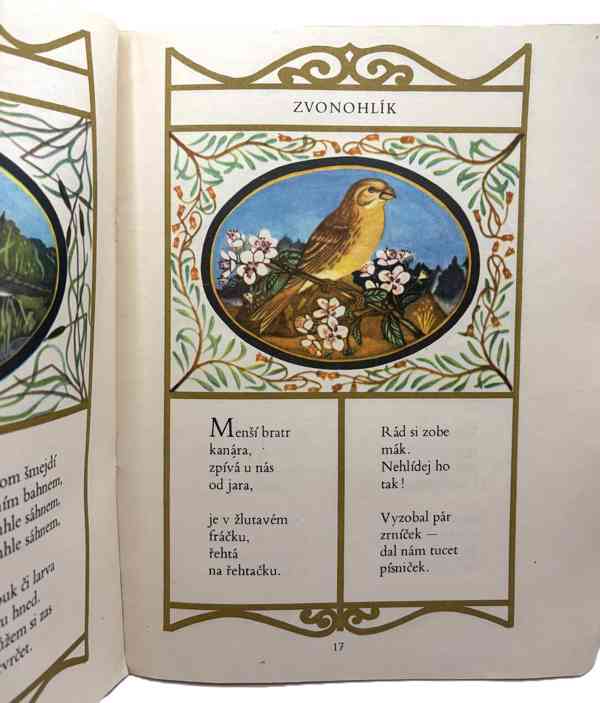 Lesní zpěváčci - foto 3