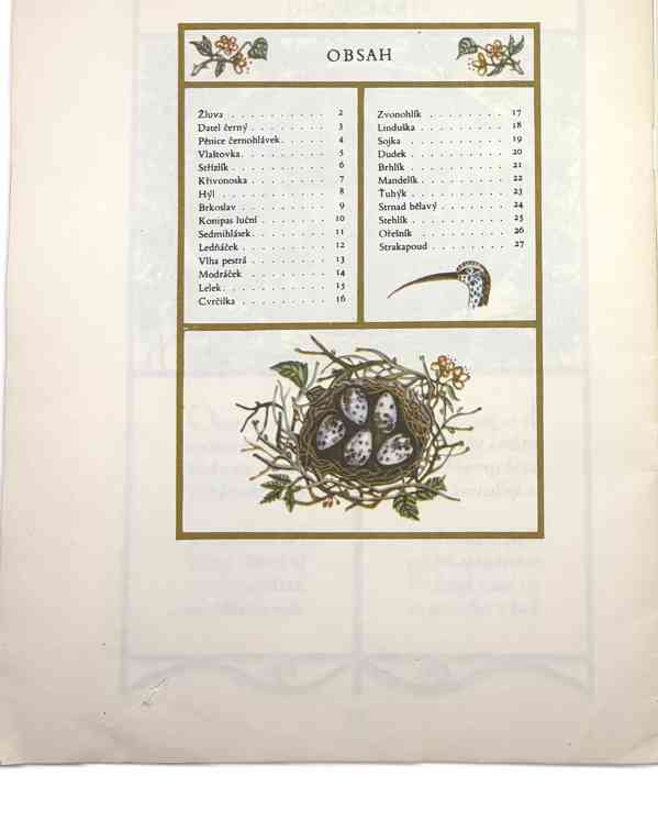 Lesní zpěváčci - foto 5