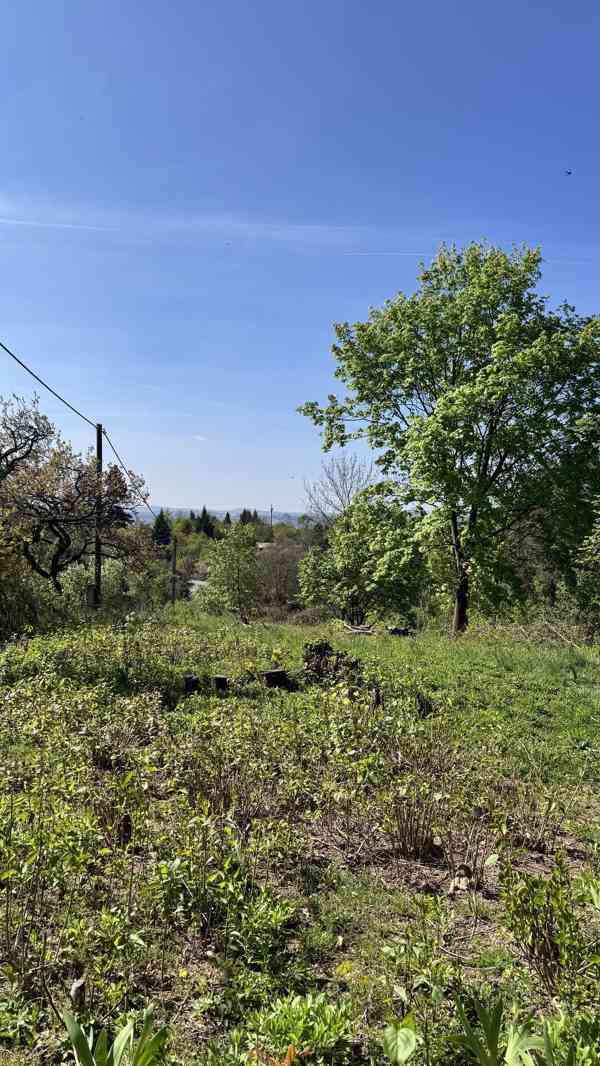 Zahrada 1 942 m2 - foto 9