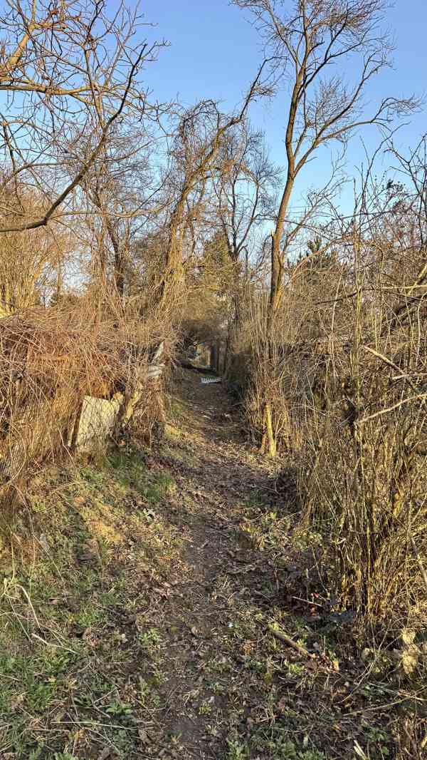 Zahrada 1 942 m2 - foto 5