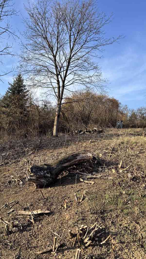 Zahrada 1 942 m2 - foto 3