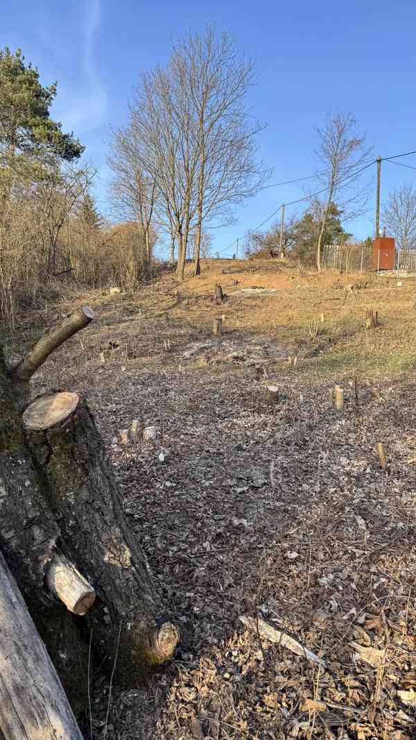 Zahrada 1 942 m2 - foto 4