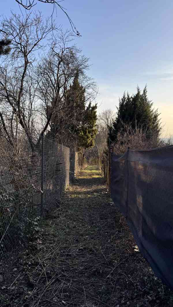 Zahrada 1 942 m2 - foto 6