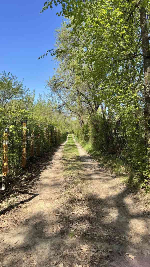 Zahrada 1 942 m2 - foto 8