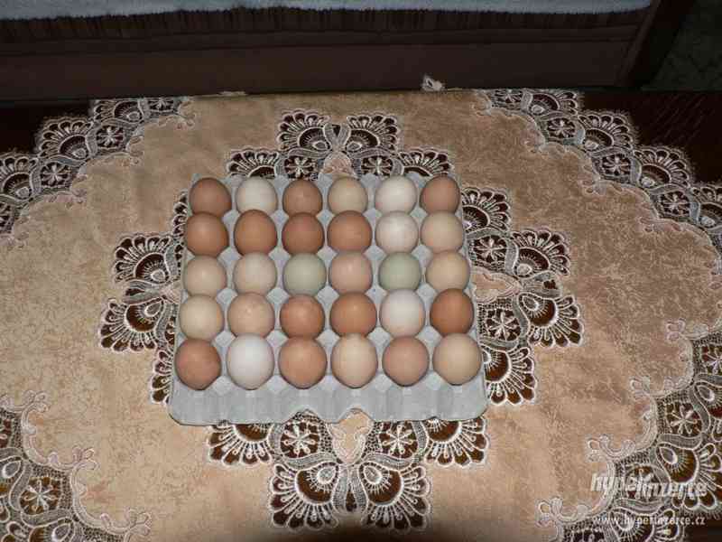 Domácí vajíčka - foto 1