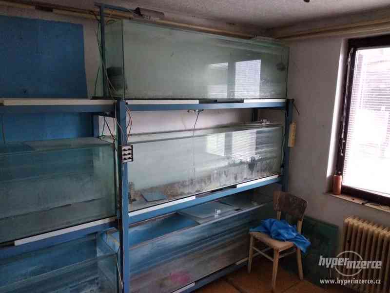 VÝPRODEJ AKVÁRIÍ - foto 4