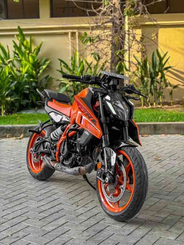 ZVFVZVDFGDFGGDFBV - foto 1