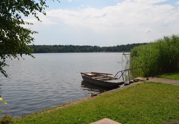 pronajmu  chatu u rybníka "Mydlák" Zliv u ČB - foto 19