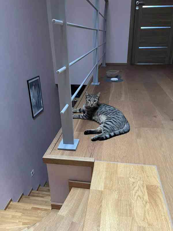Šklíba a Střela - foto 5