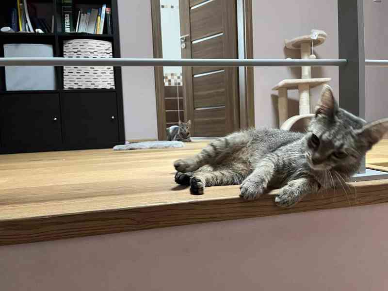Šklíba a Střela - foto 8