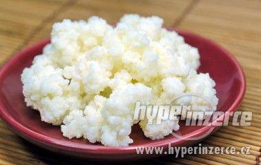 Tibetská houba  (Je libo kefír,jogurt nebo tvaroh? - foto 1