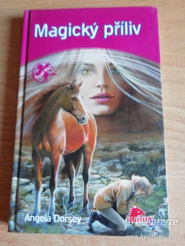 Magický příliv - Angela Dorsey - vydáno 2007 - edice Pony cl - foto 1