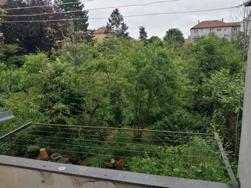 Pronájem 1+1, ulice Zborovská, Žabovřesky, 47 m2, balkon - foto 7