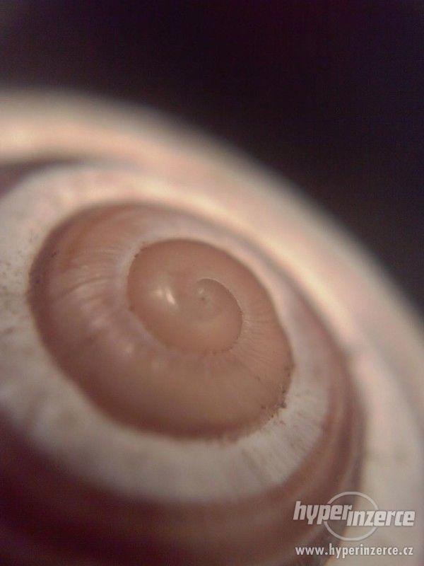 Mikro čočky pro mobil - foto 3