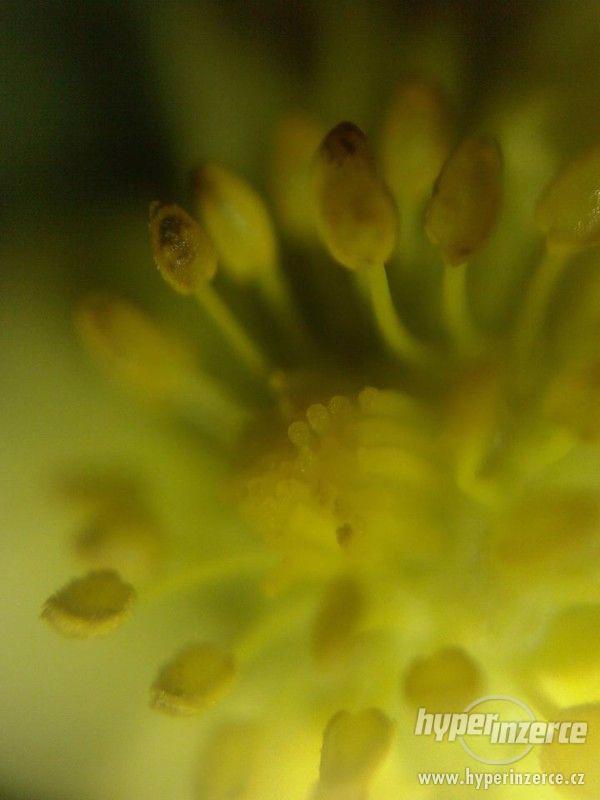 Mikro čočky pro mobil - foto 9