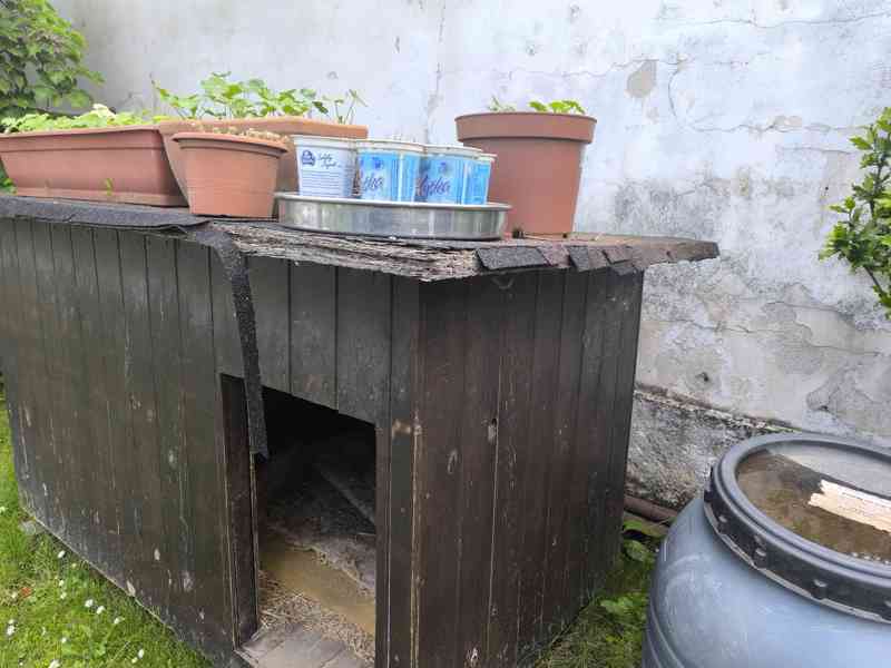 Zdarma za odvoz zateplená psí bouda - foto 3