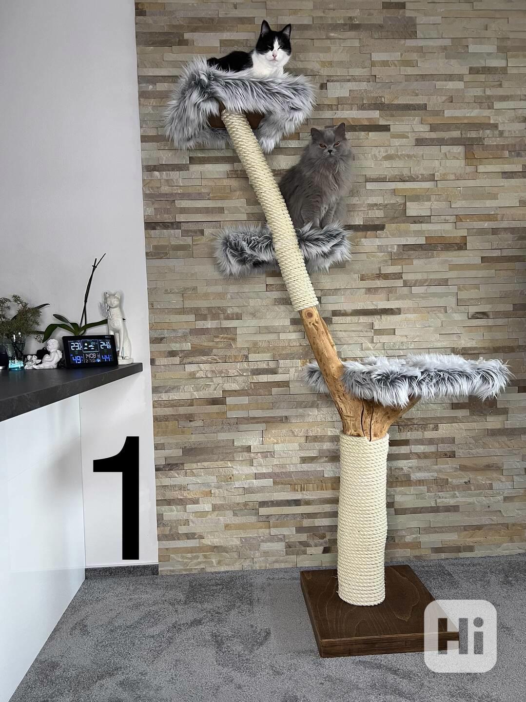 Kočičí stromy  - foto 1