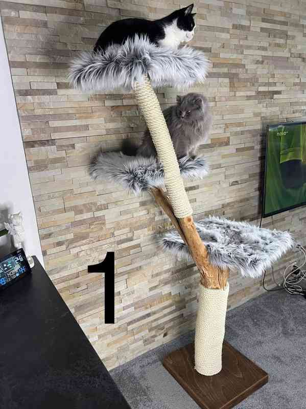 Kočičí stromy  - foto 3