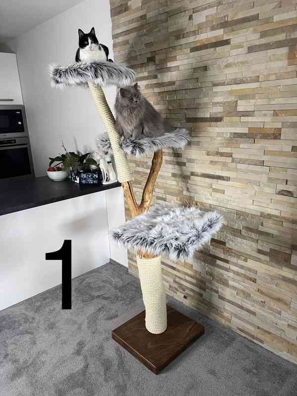 Kočičí stromy  - foto 2