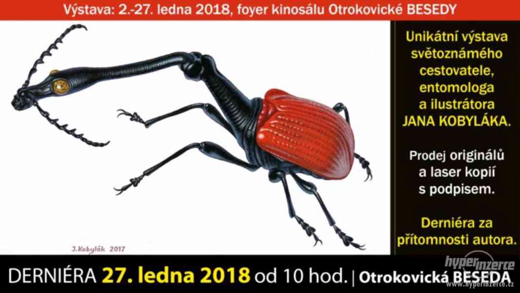 Entomologická burza v Otrokovicích,27.1.2018 - foto 6