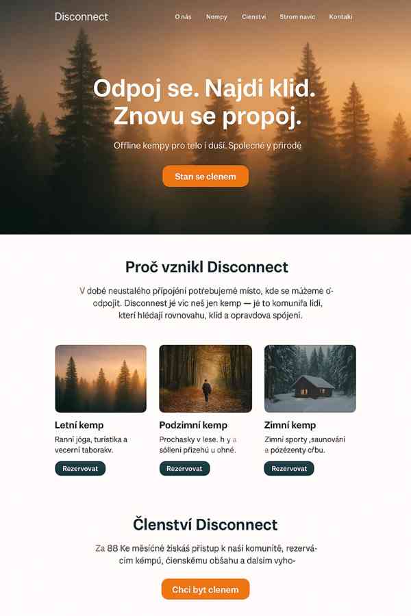 Webové stránky - foto 4