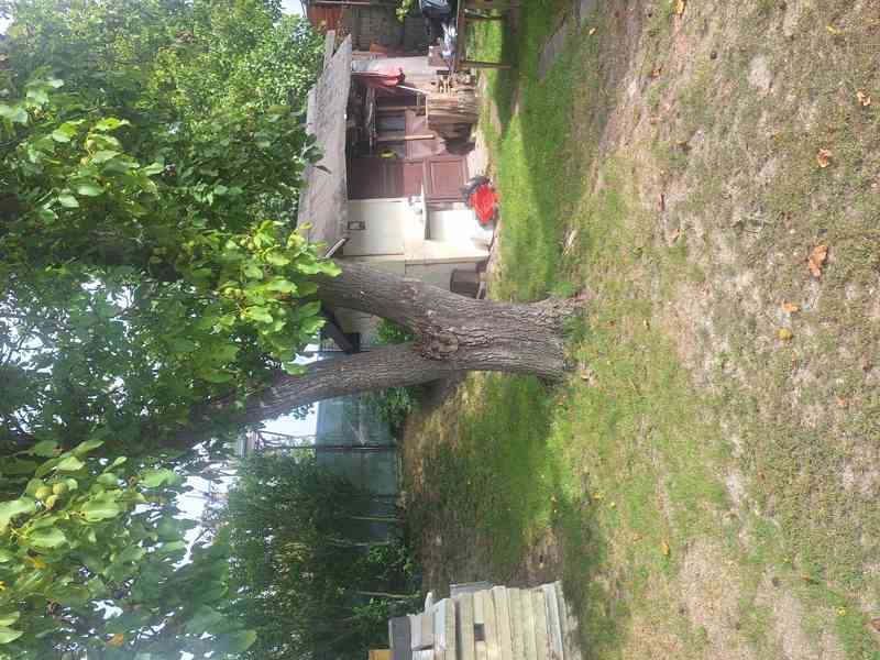 Prodej zahrady s chatou 36 m²  - foto 12