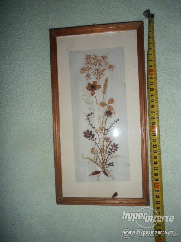 Květy - obraz herbář - foto 1