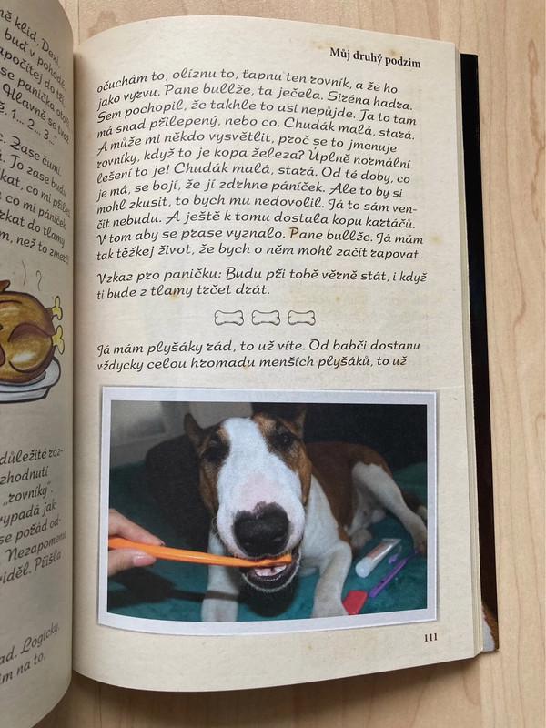 🌿 Knížka ZE ŽIVOTA BULÍKA - Romana Skálová 🌿 - foto 3