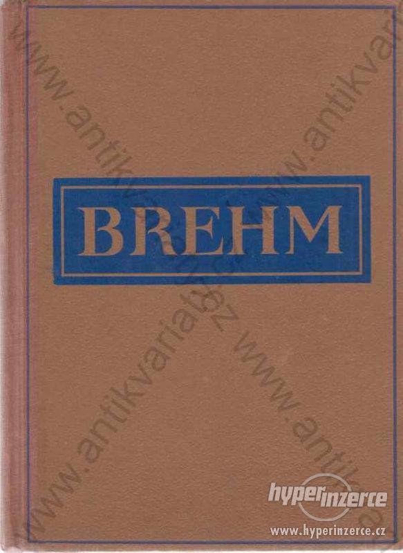 Brehmův život zvířat 11 svazků J. Hokr cca 1930 - foto 1