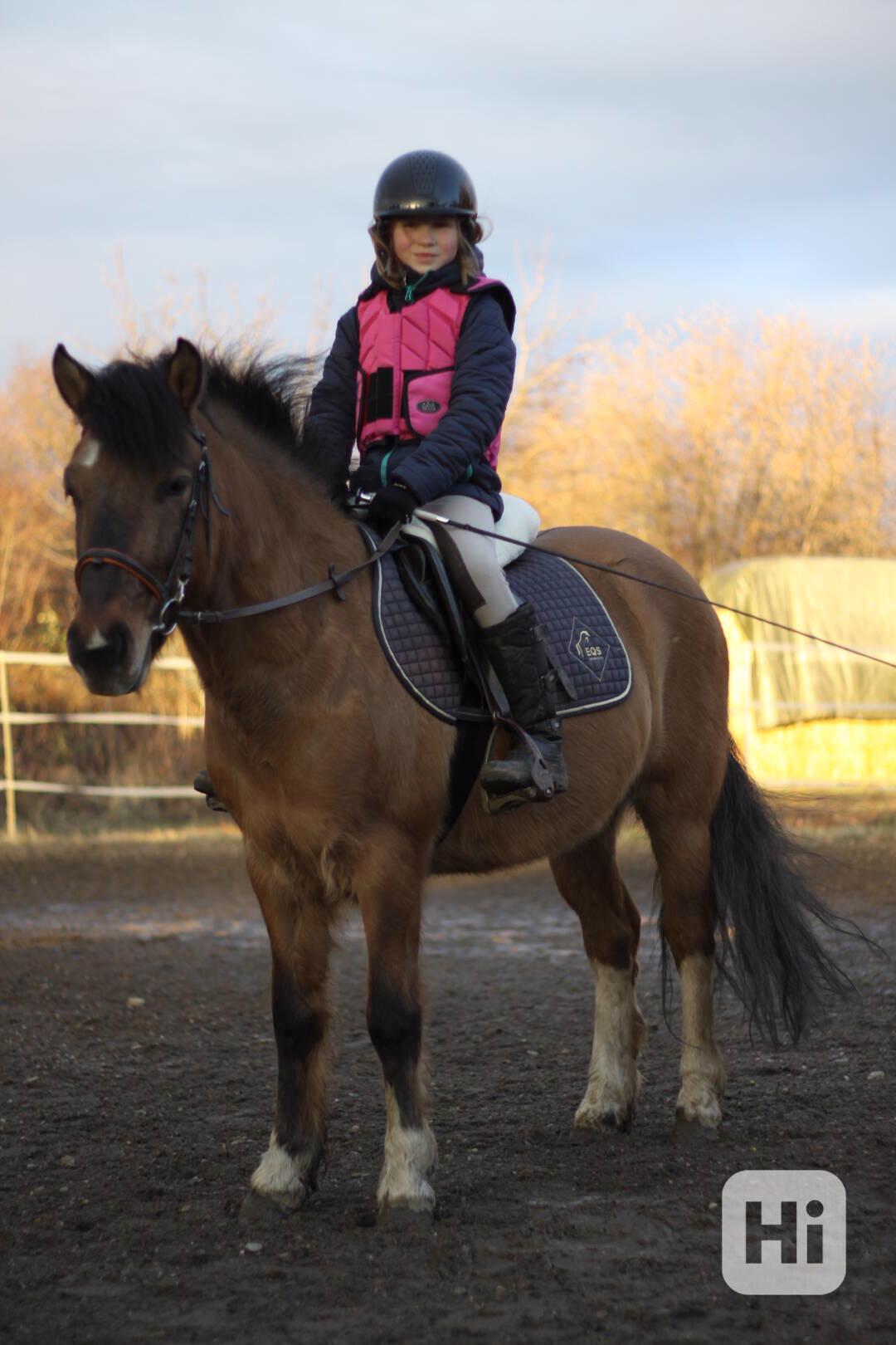 Nabízíme výuku dětí a dospělých Praha 9 - foto 1