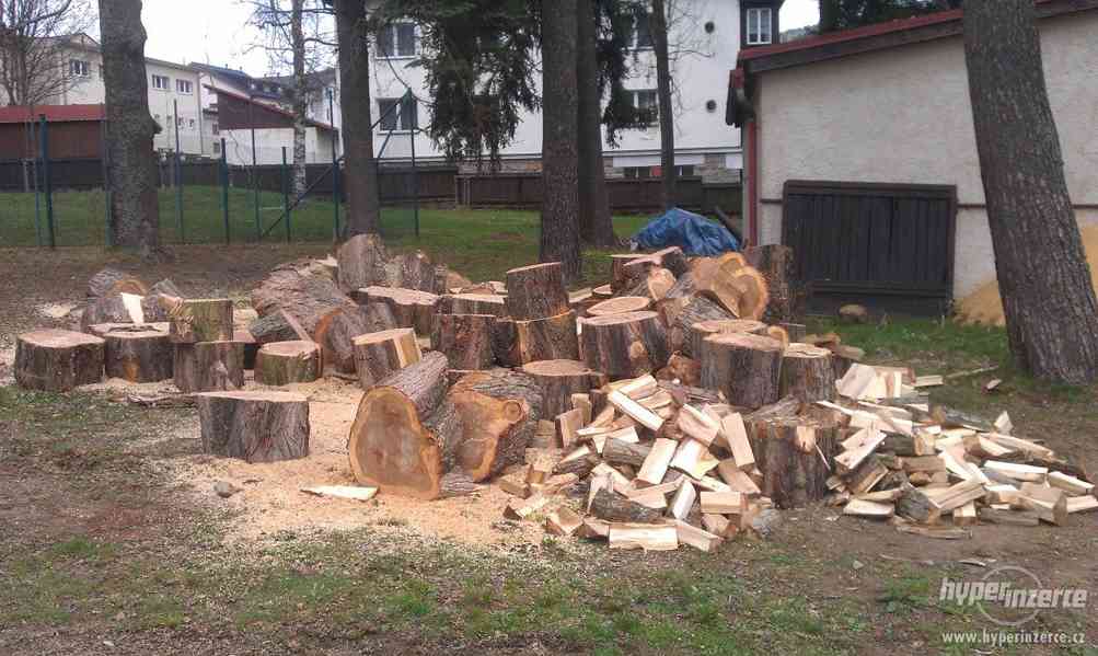 Kácení stromů, štípání dřeva - foto 2