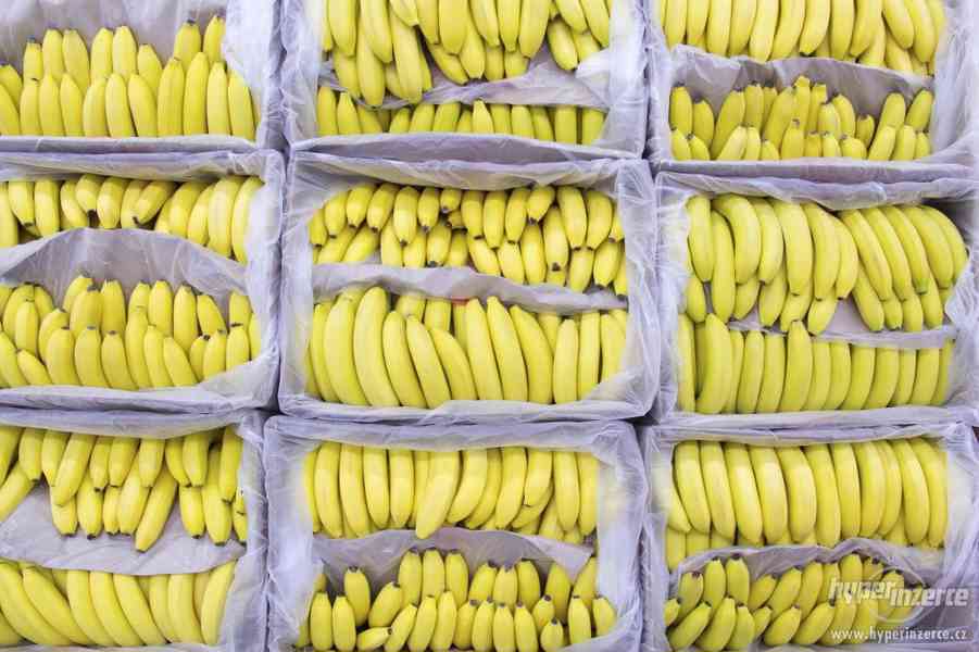 Banánové krabice - foto 1