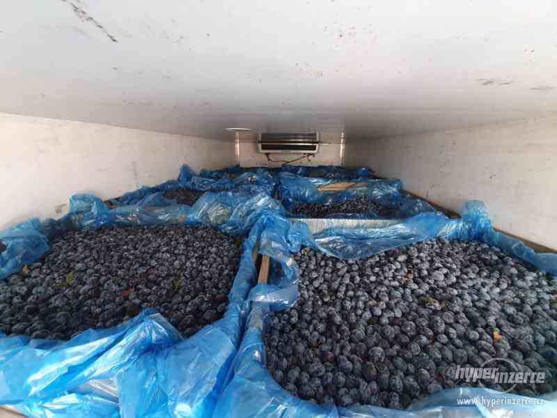 švestky na kvas: Vengerka ,Durancie - foto 4