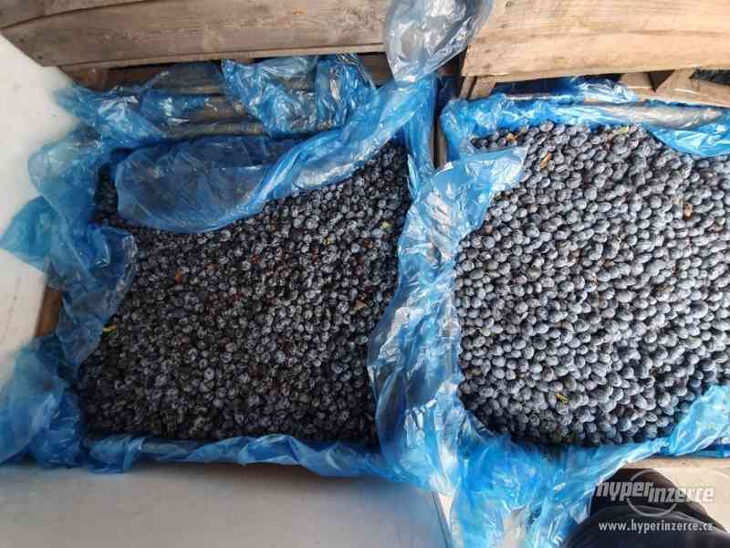 švestky na kvas: Vengerka ,Durancie - foto 5