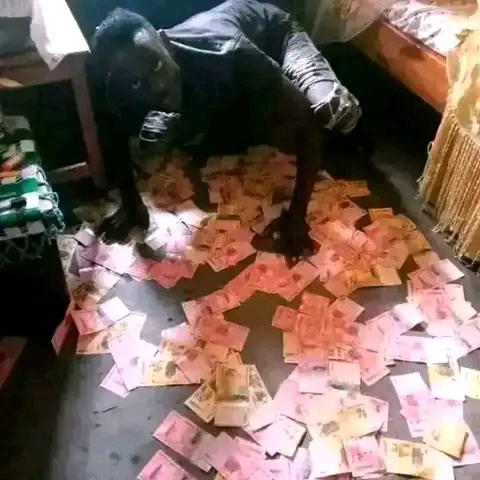 Illuminati Uganda call 0761255151/0702388589 - foto 3