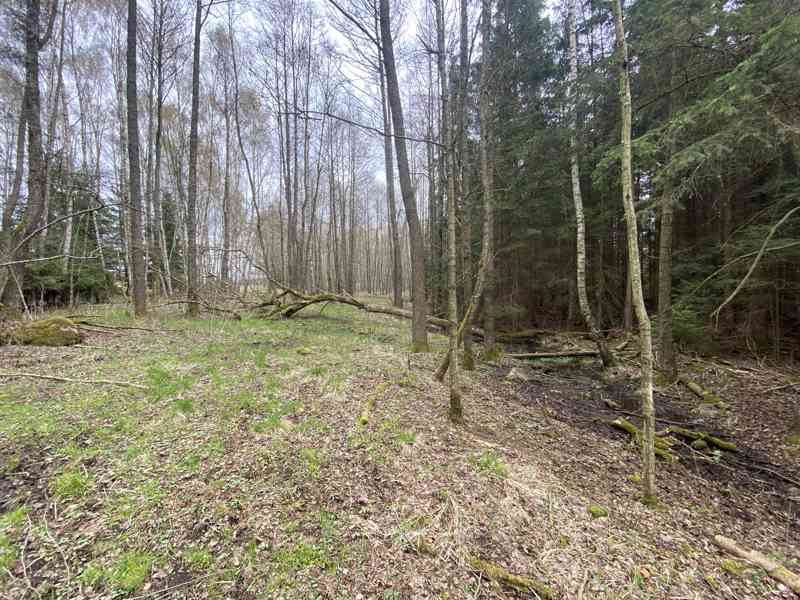 Pozemek ostatní plocha Brandlín (Volfířov) - foto 9