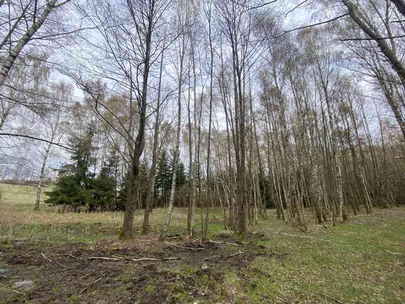Pozemek ostatní plocha Brandlín (Volfířov) - foto 8