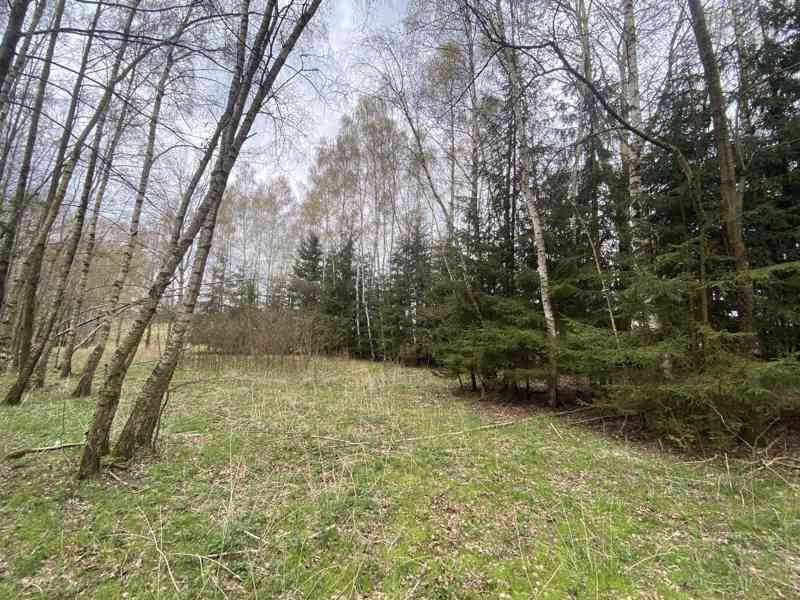 Pozemek ostatní plocha Brandlín (Volfířov) - foto 7