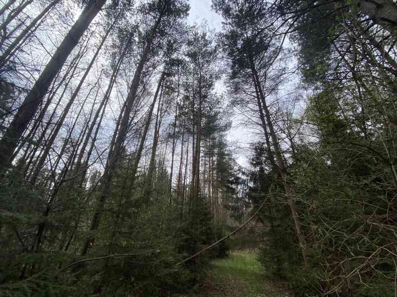 Pozemek ostatní plocha Brandlín (Volfířov) - foto 5