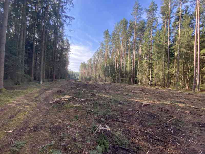 Lesní pozemek Újezdec u Kardašovy Řečice - foto 2