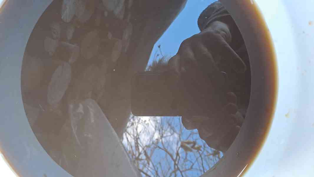 Skořápky vlašských ořechů odvar (silný) - foto 4