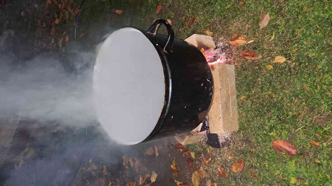 Skořápky vlašských ořechů odvar (silný) - foto 3