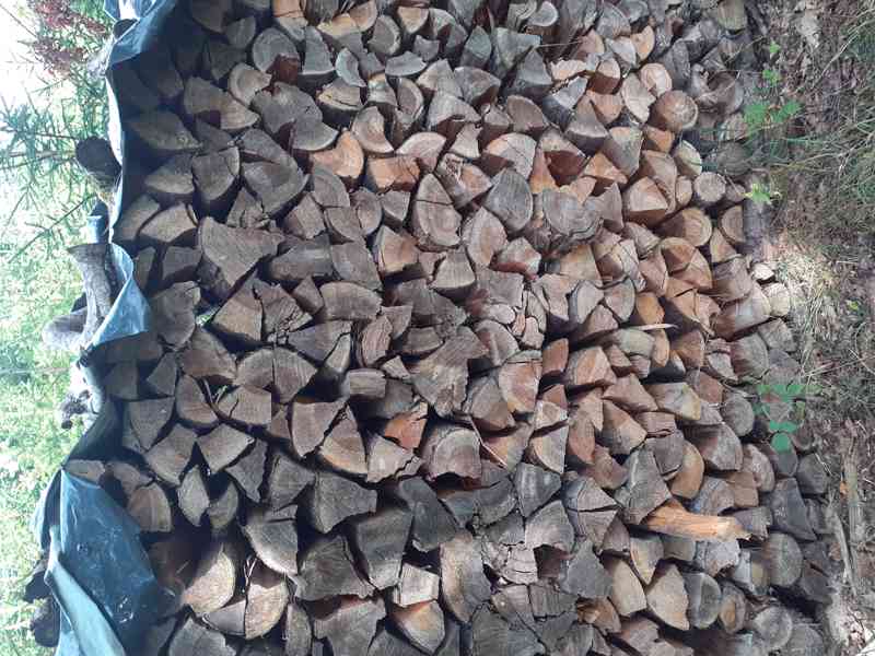 palivové dřevo suché, štípaé - foto 1