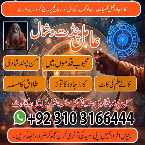 ProfessionalAmilBaba  Astrologer & Black Magic Expert – USA