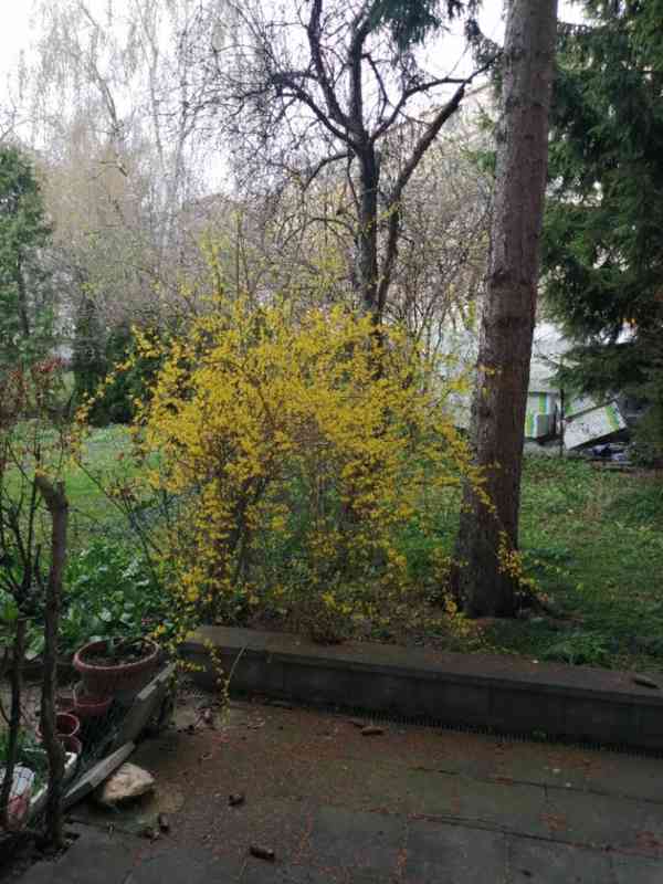 Pronájem 2+kk, ulice Merhautova, Černá Pole, 47 m2 - foto 15