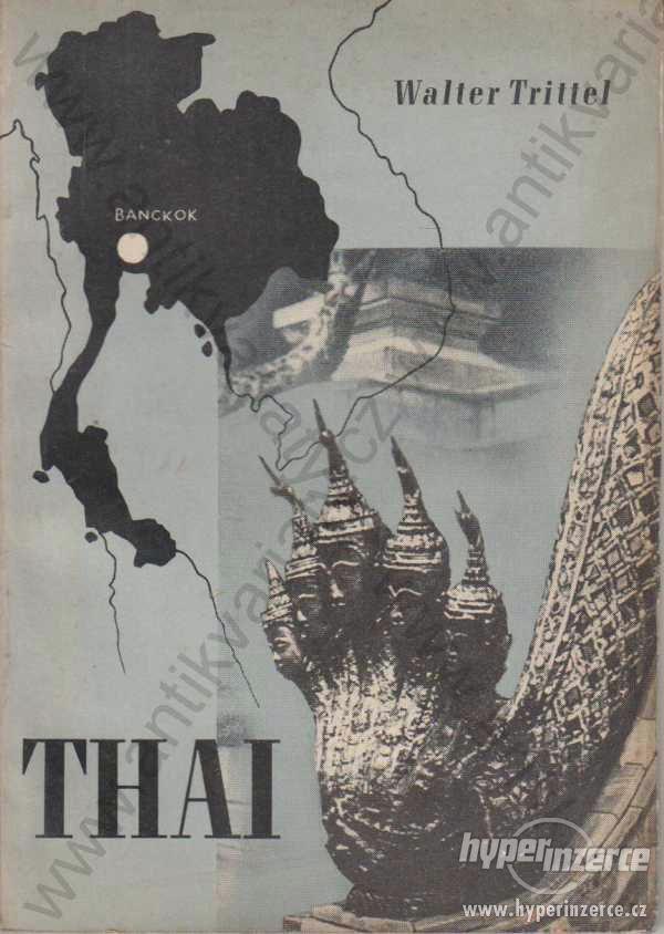 Thai - foto 1