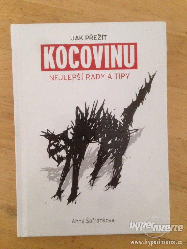 Kniha Jak přežít kocovinu - foto 1