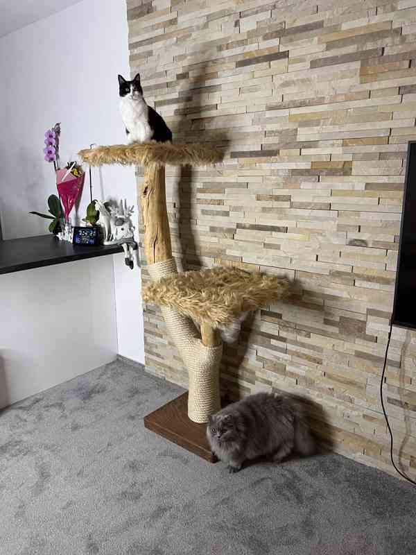 Škrabadlo pro velké kočky  - foto 2