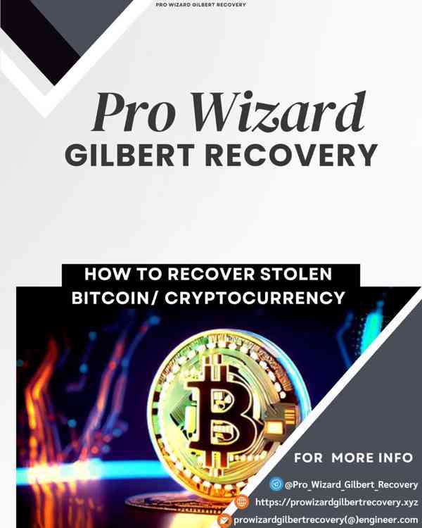 CONTACT PRO WIZARD GILBERT RECOVER  TO RECOVERY STOLEN BITCO - foto 3
