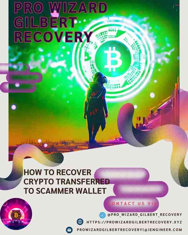 CONTACT PRO WIZARD GILBERT RECOVER  TO RECOVERY STOLEN BITCO - foto 2